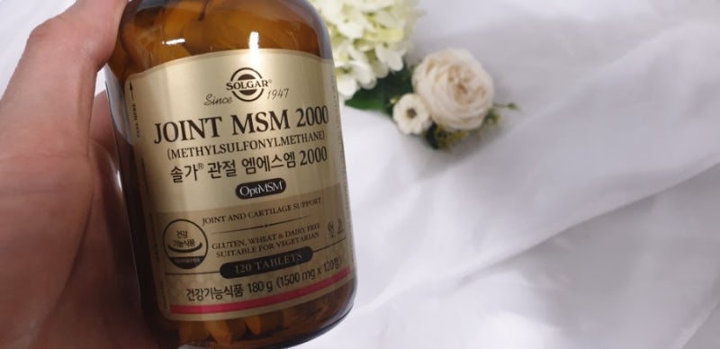 한국 솔가msm 코스트코에서도 판매되는 관절msm