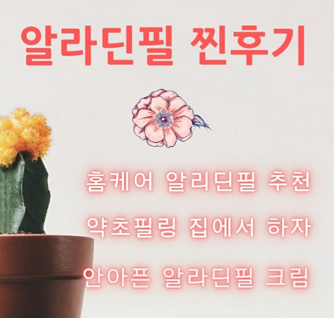  [스피큘엑스#1]성인여드름필링/알라딘/약초필링후기/꾹꾹크림
