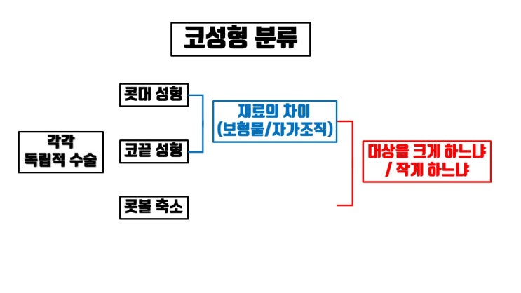  수많은 코수술 종류, 콧대, 코끝, 콧볼로 나눠 보면 생각보다 단순!!!