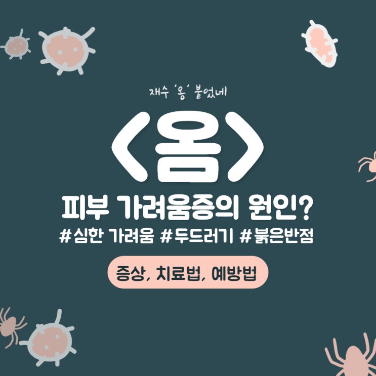 옴 증상 알아보기 / 피부 가려움증, 두드러기, 붉은 반점 이게 바로 옴이라고?