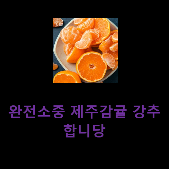 완전소중 제주감귤 강추합니당 완전소중 제주감귤 강추합니당