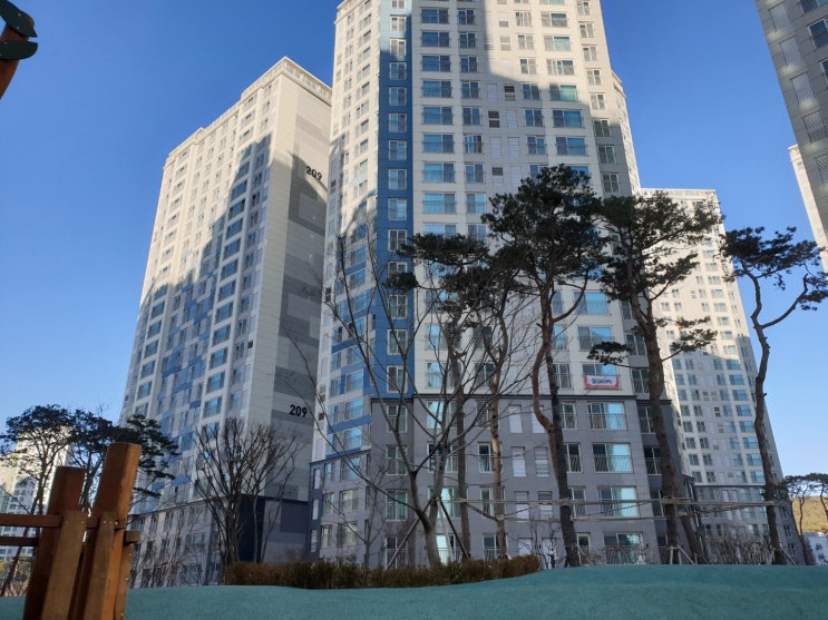  1가구 1주택법 원칙, 진성준 의원 주거기본법 일부개정 법률안 발의