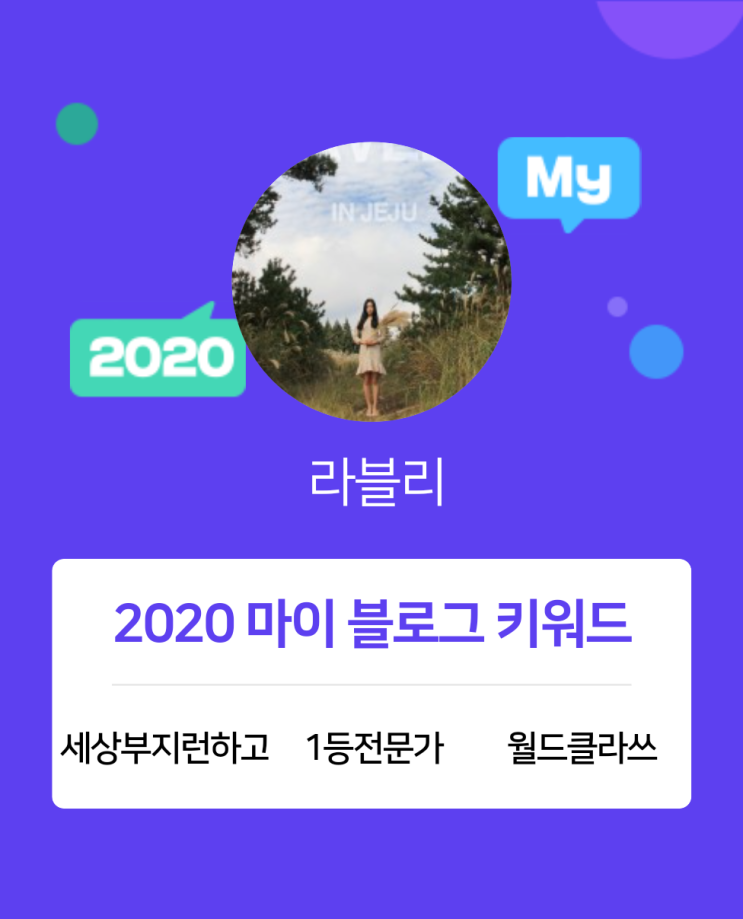  [2020 마이블로그 리포트] 한 눈에 보는 올해 내 블로그 데이터!