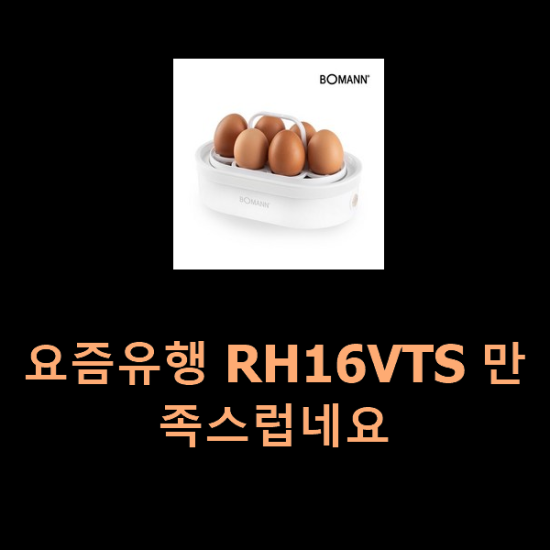  요즘유행 RH16VTS 만족스럽네요