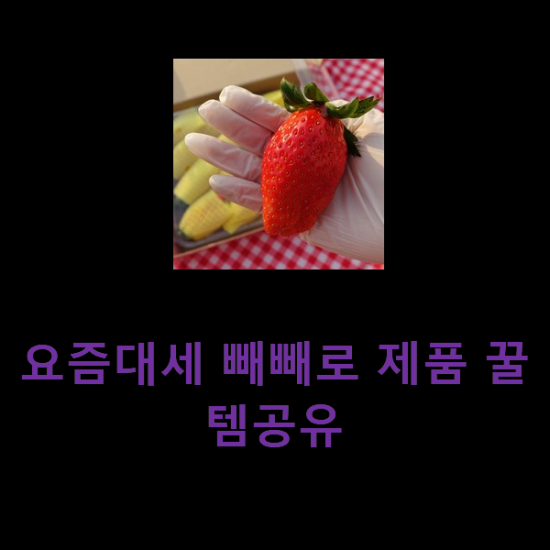 요즘대세 빼빼로 제품 꿀템공유