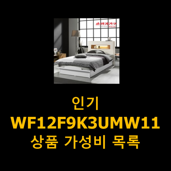  인기 WF12F9K3UMW11 상품 가성비 목록