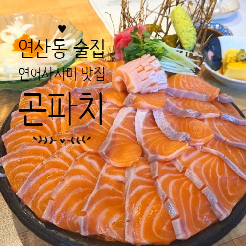  연산동곤파치 연어사시미가 맛있는 이자까야