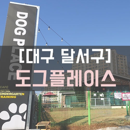 사진 2