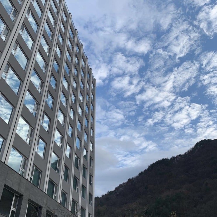  여유로운 여행 힐링의 공간, 정선 파크로쉬(PARK ROCHE) 리조트 앤 웰니스