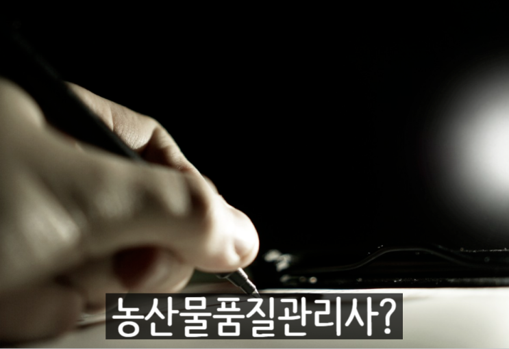  농산물 품질관리사 취업 연봉 알아보고 공부중이에요