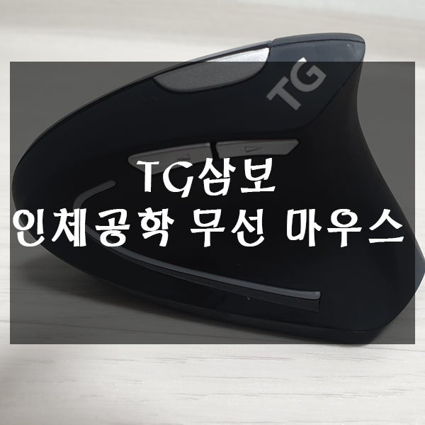 인체공학 무선 마우스 2개월 사용후기(tg삼보)