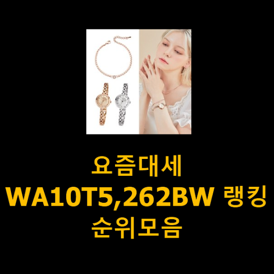 요즘대세 WA10T5,262BW 랭킹순위모음