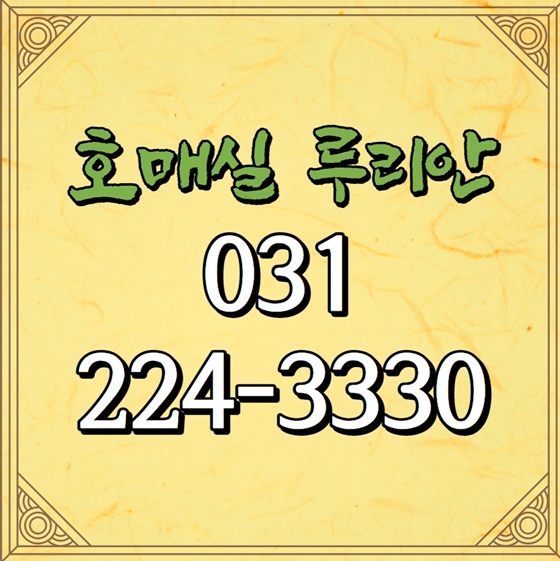  호매실 루리안 전문 부동산