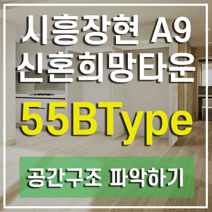  시흥 장현지구 아파트 분양 A9 신혼희망타운 가상 사이버모델하우스 55B타입 참고하세요