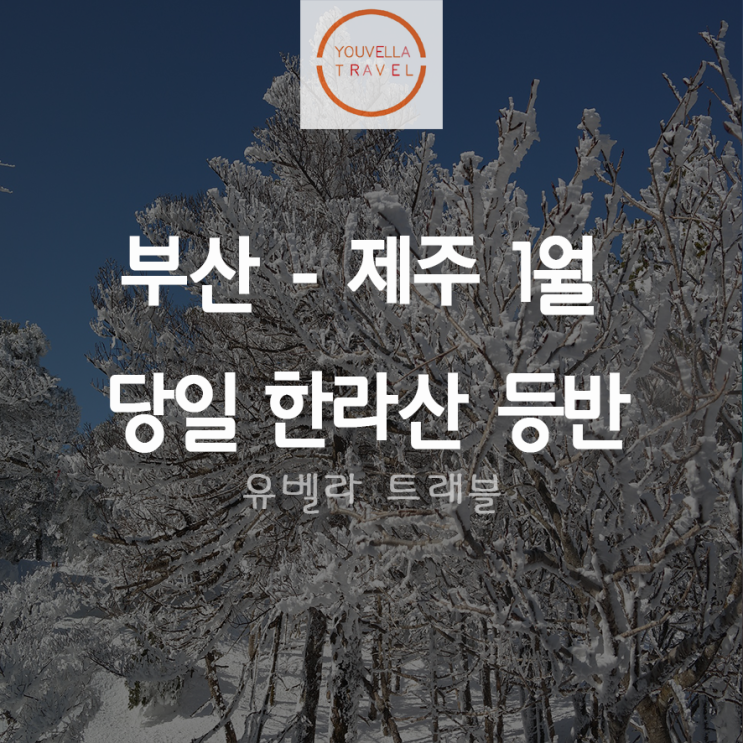  [부산출발] 당일 한라산 등반 1월 특가 에어부산 영실-어리목코스