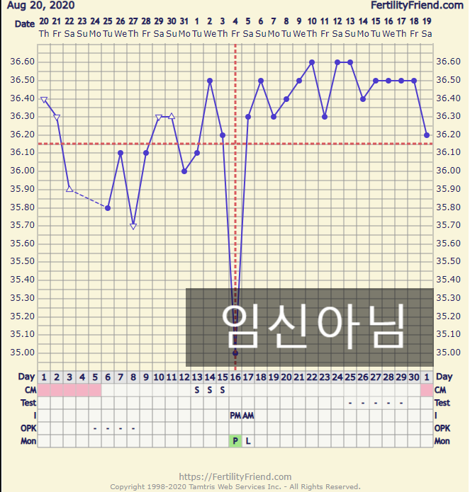  여섯번째 시도! 배란 12일째 (3주 5일) 임테기 결과.