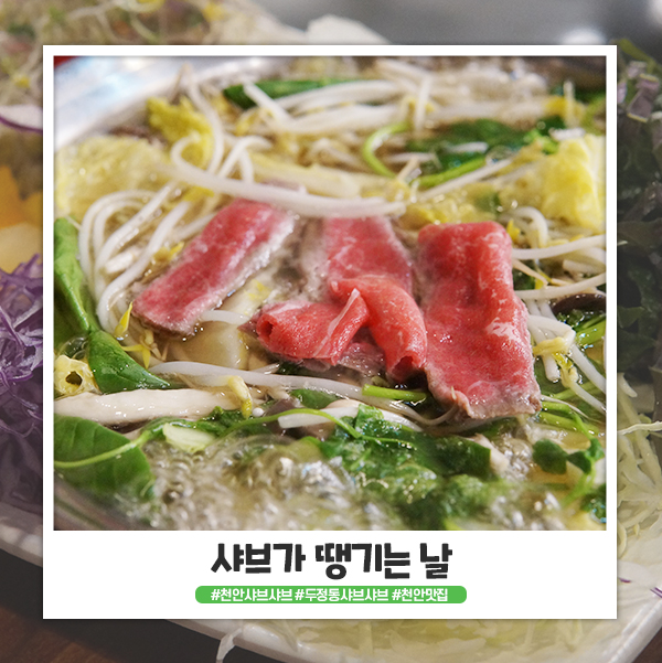 천안 두정동샤브샤브 맛집 샤브가 땡기는 날 추천해요! 천안 두정동샤브샤브 맛집 샤브가 땡기는 날 추천해요!