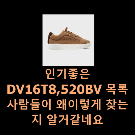  인기좋은 DV16T8,520BV 목록 사람들이 왜이렇게 찾는지 알거같네요