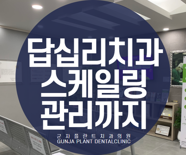 답십리치과, 치아 관리 시작 치아 손상 없이 스케일링하기 5천원~ 답십리치과, 치아 관리 시작 치아 손상 없이 스케일링하기 5천원~