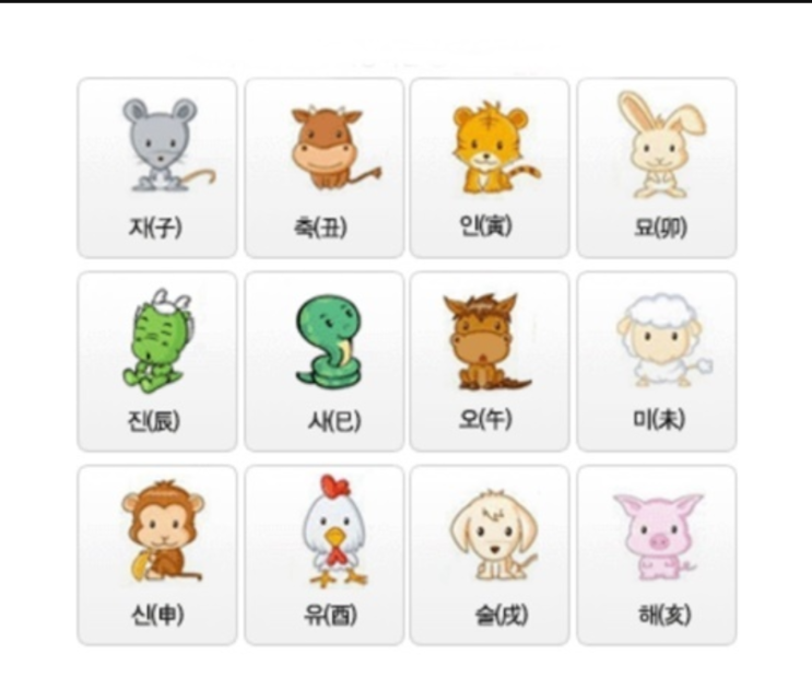  오늘의 운세