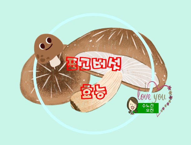  버섯의 효능I-표고버섯의 효능과 부작용