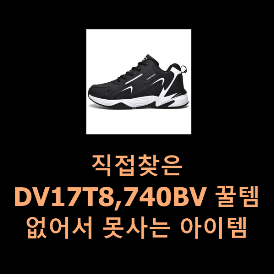  직접찾은 DV17T8,740BV 꿀템 없어서 못사는 아이템