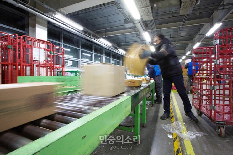 택배기사 손가락 절단 사고서 또 드러난 분류작업·산재포기각서 문제 택배기사 손가락 절단 사고서 또 드러난 분류작업·산재포기각서 문제