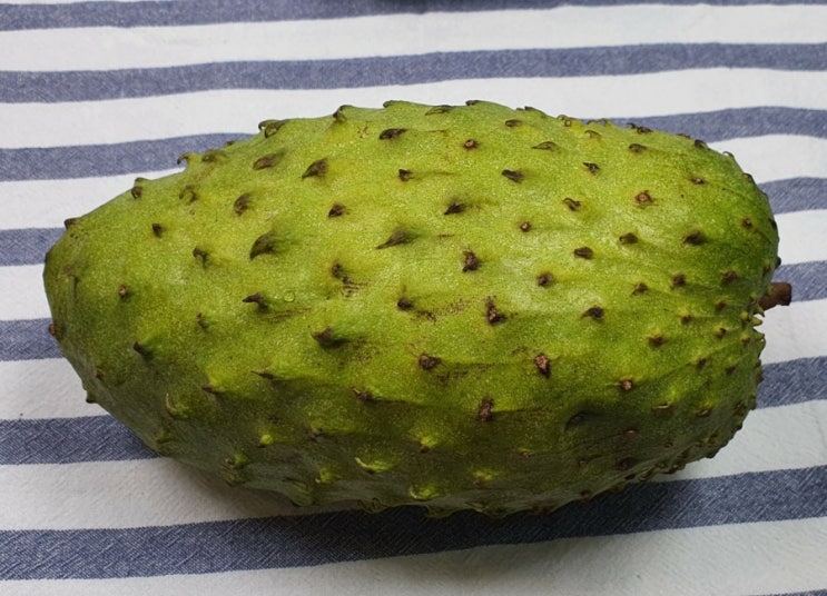  사워솝(SOURSOP) 그라비올라(GRAVIOLA) 과일로 주스로 빙수로도 다 어울려요