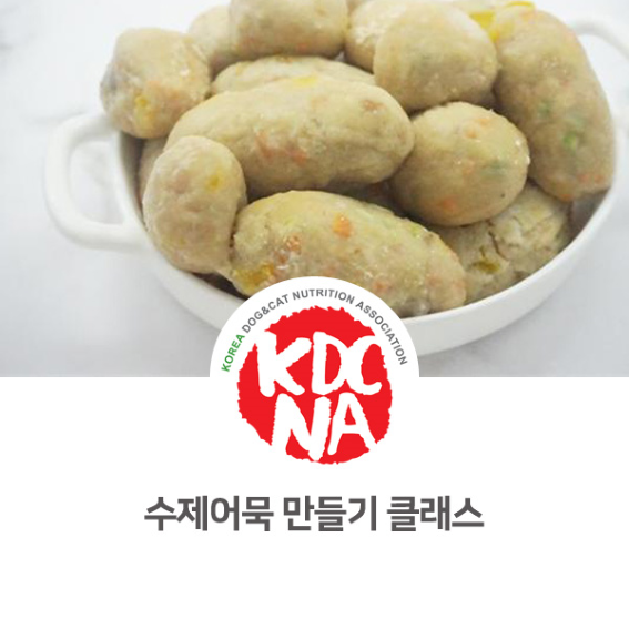  [전주/광주/대전/부산/울산/포항/진주/창원 펫푸드 창업 자격증] 박은정펫푸드아카데미 강아지 특식 만들기 클래스_700