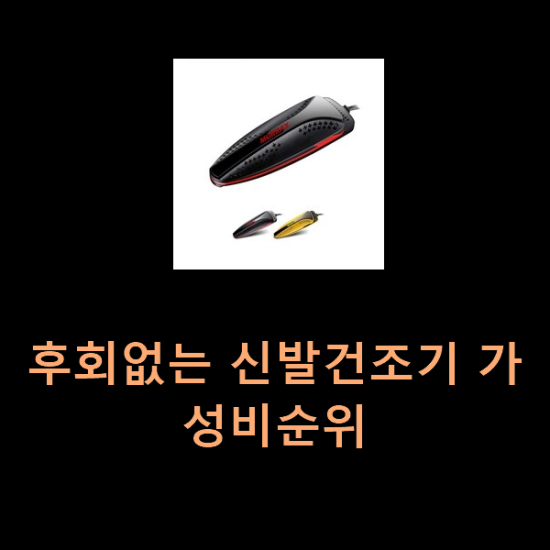  후회없는 신발건조기 가성비순위