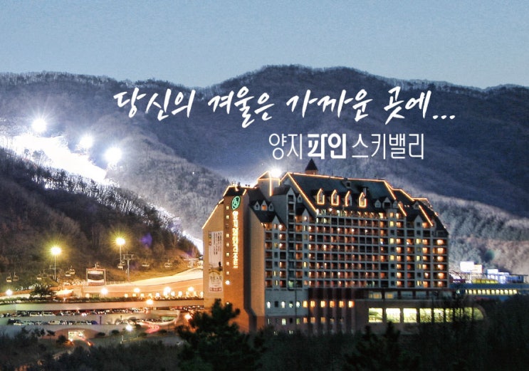 양지파인 스키장 알아보기
