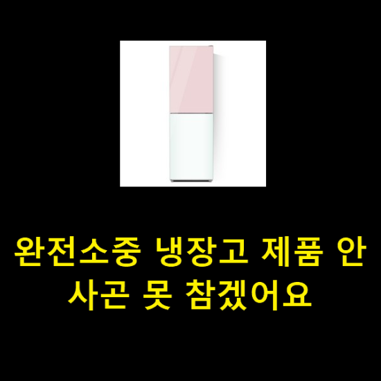 완전소중 냉장고 제품 안사곤 못 참겠어요