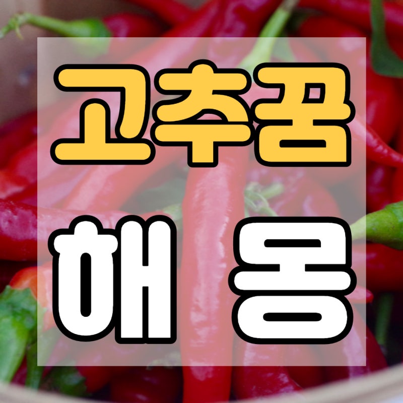 고추꿈 사업과 태몽으로 좋은 꿈이네요