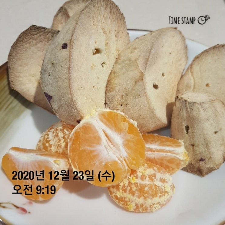  4일차 자연식물식
