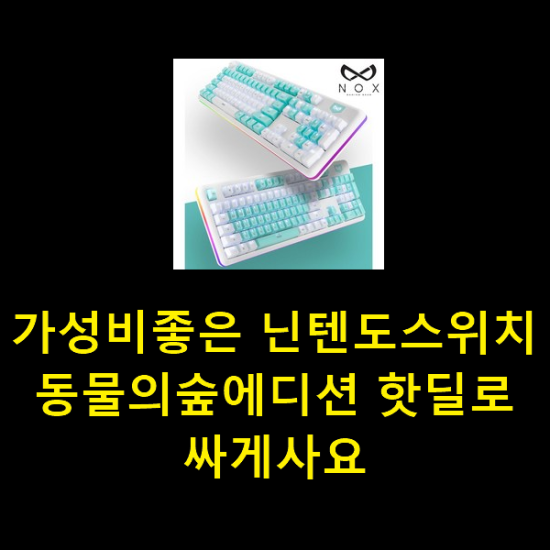  가성비좋은 닌텐도스위치동물의숲에디션 핫딜로 싸게사요