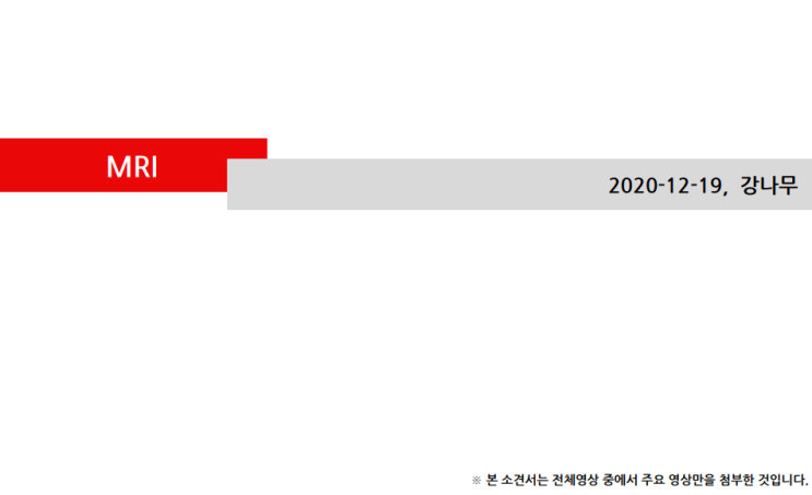  강아지 특발성 안면신경마비 MRI 촬영 결과 향후 치료방법