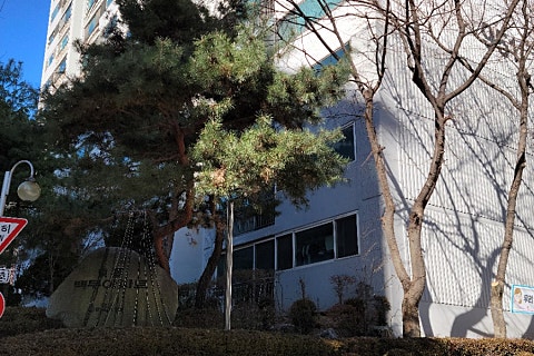 백두청소 이미지