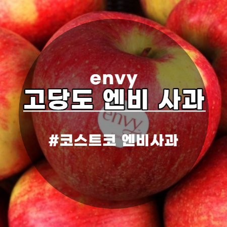 고당도 코스트코 엔비사과 온라인으로 주문하기