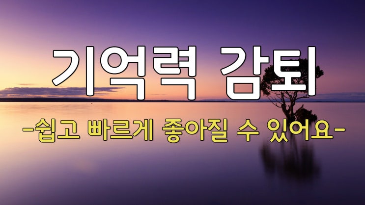  나의 기억력이 다시 좋아졌다 / 기억력 좋아지는 법