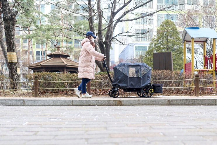  캠핑웨건 아이도 탄다면 뷔어 유아웨건추천