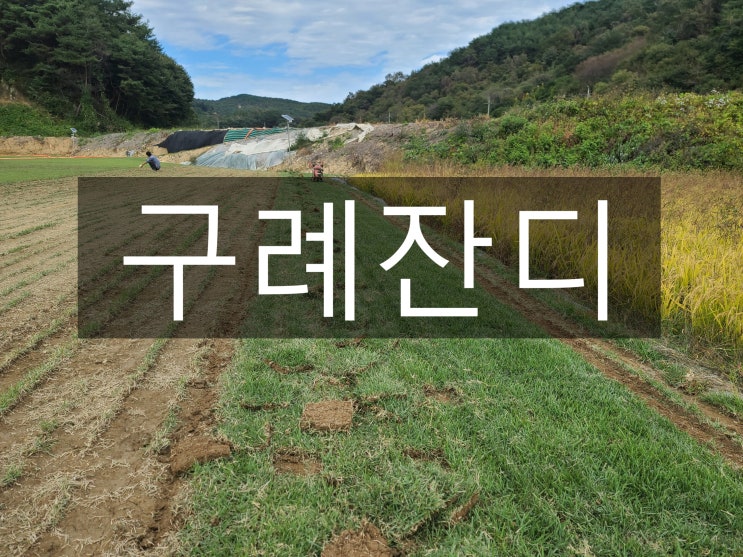  삼대삼미의 고장 구례 잔디 배달