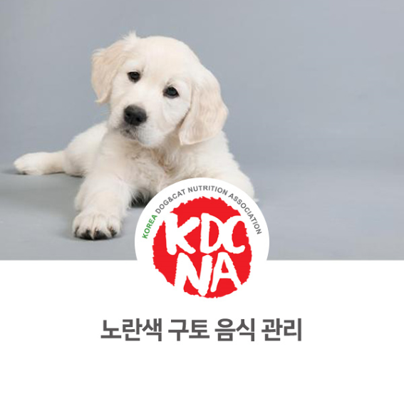  [한국반려동물영양협회 경기지회 부천/시흥/용인/화성/수원] 펫영양사가 알려주는 반려동물 노란색 구토와 식이관리_695