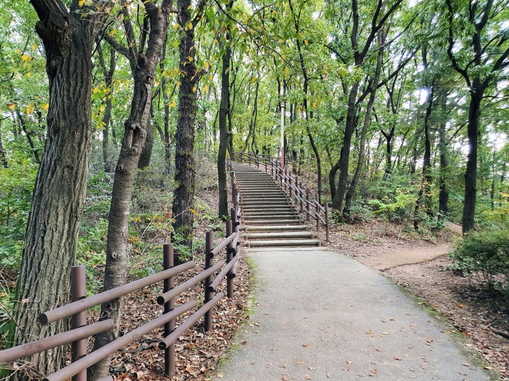 [김포 고촌 공원 3부] 고촌근린공원