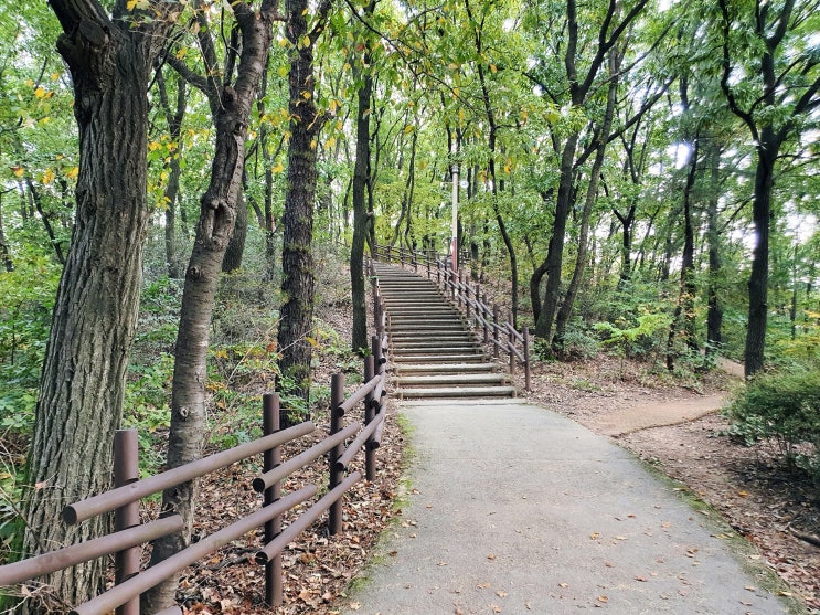  [김포 고촌 공원 3부] 고촌근린공원