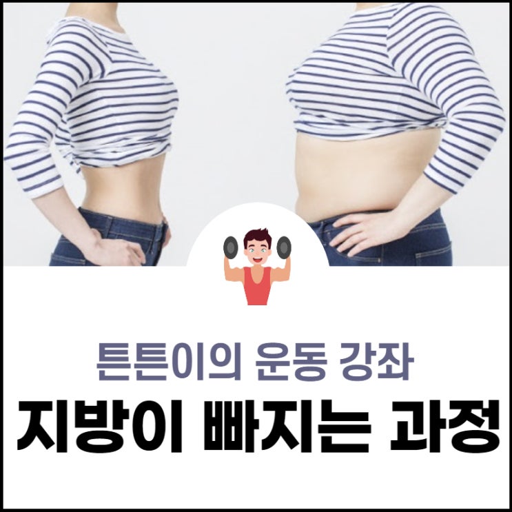  지방은 어떻게 빠지는 걸까 (Feat: 다이어터들을 위해)