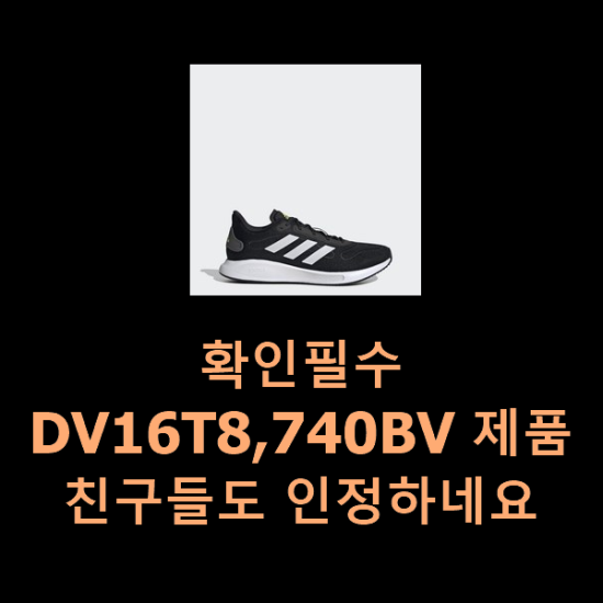  확인필수 DV16T8,740BV 제품 친구들도 인정하네요