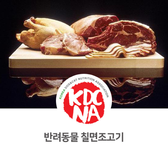  [한국반려동물영양협회 전주지부 펫푸드 자격증] 반려밥상 펫영양사가 알려주는 강아지 고양이 칠면조고기_685