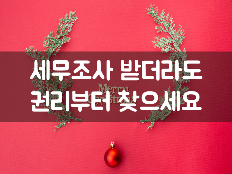  세무조사 받더라도 권리부터 찾으세요