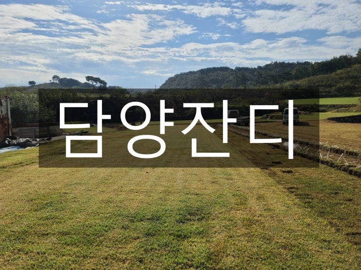  초록의 찬찬한 위안 담양 잔디 배달