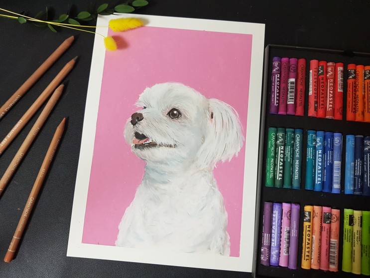 까렌다쉬색연필/ 강아지그리기